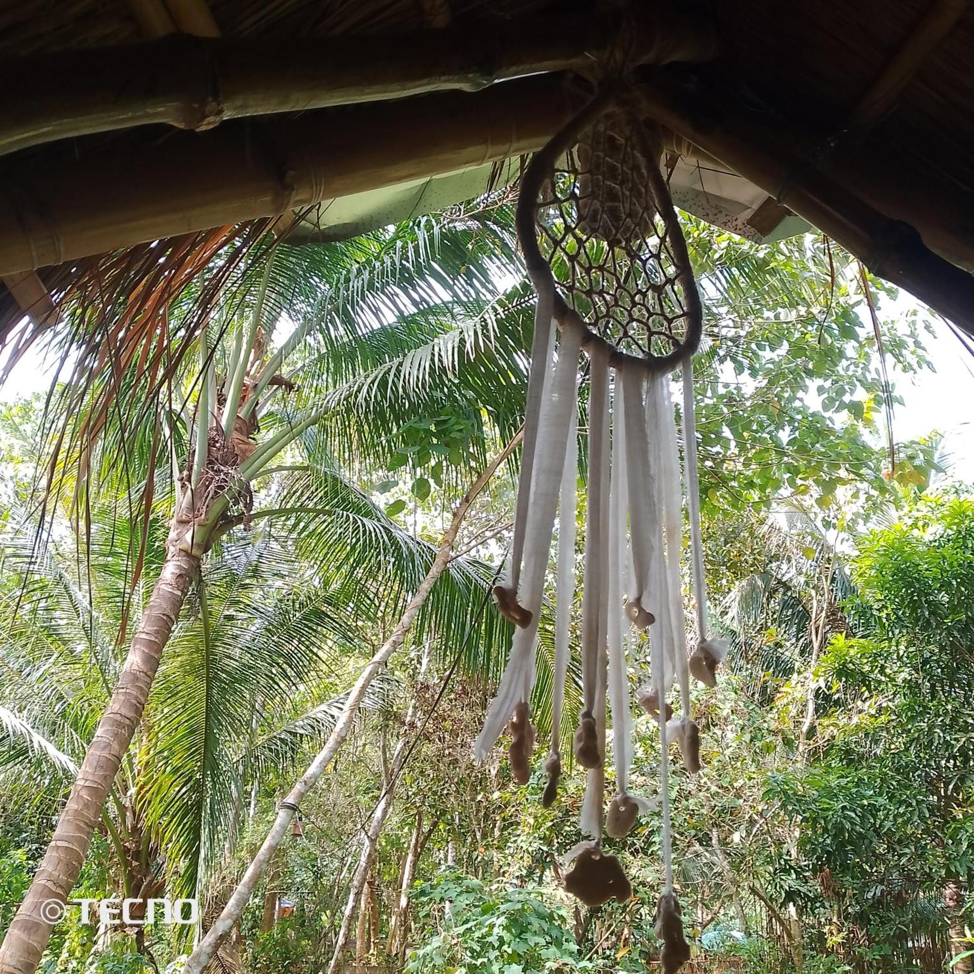 Ecocio Jungle Hostel Coron Exterior foto