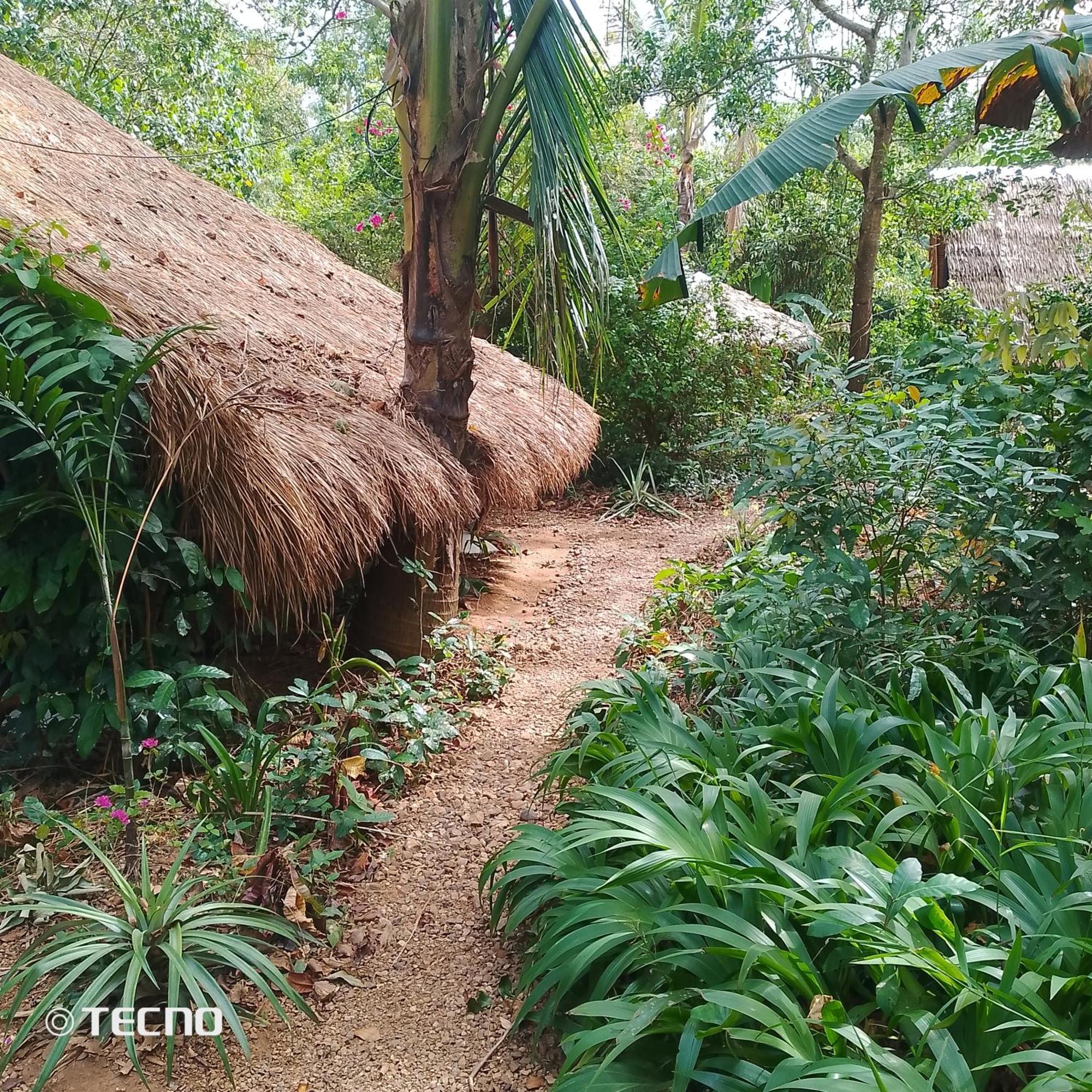 Ecocio Jungle Hostel Coron Exterior foto